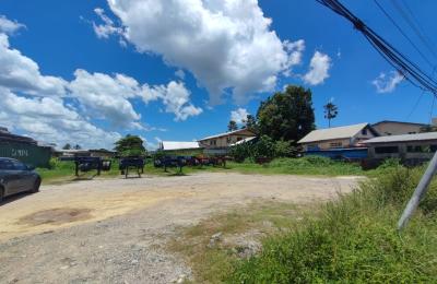 Barataria Land For Sale