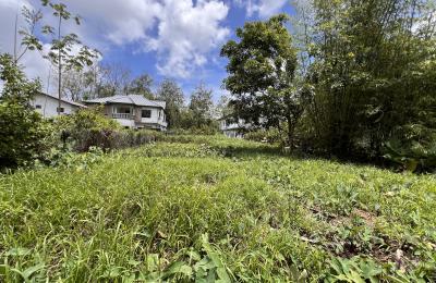 Sangre Grande Land For Sale